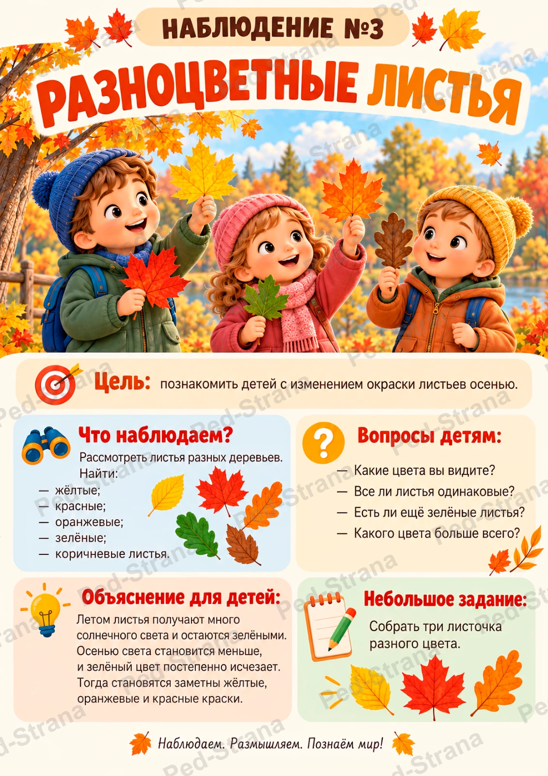 Картотека наблюдений в октябре — страница-пример 3