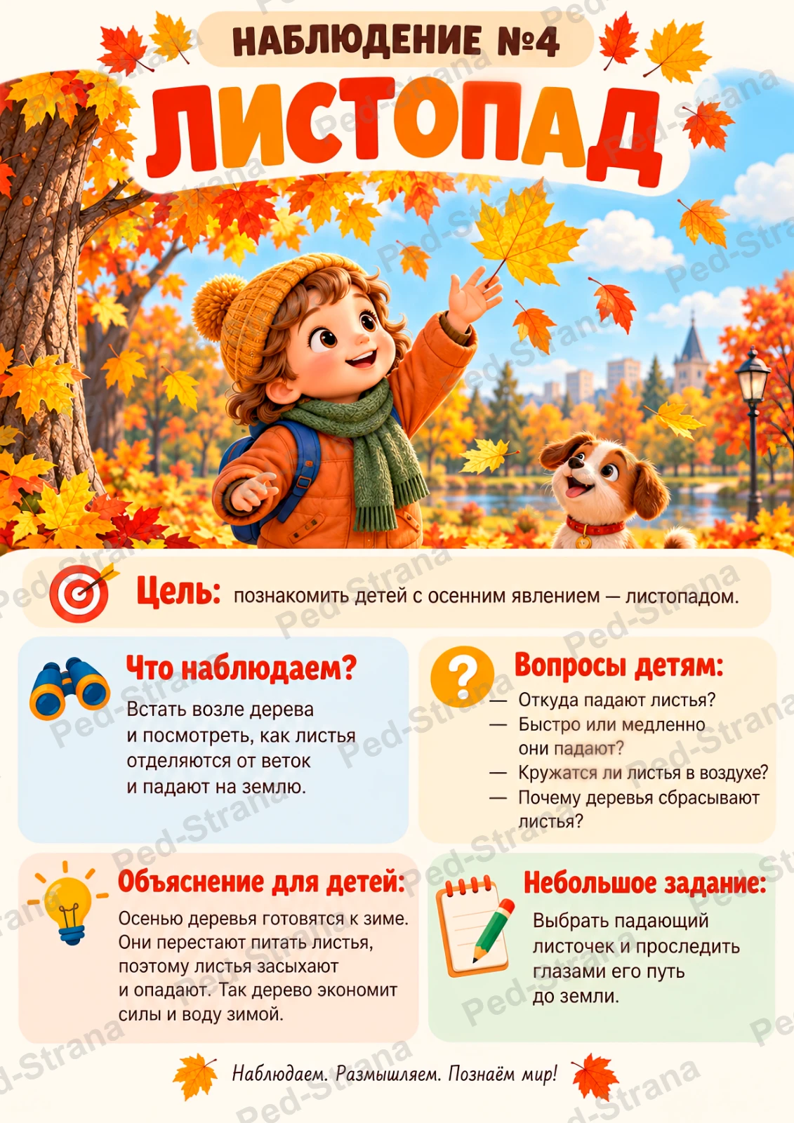 Картотека наблюдений в октябре — страница-пример 4