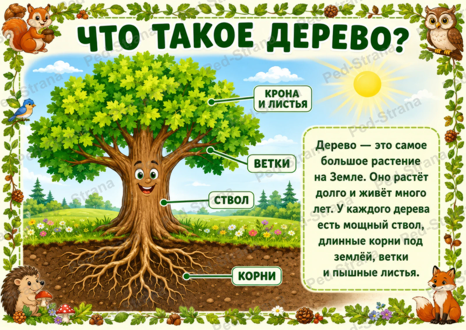 Познавательные карточки "Деревья" — страница-пример 3