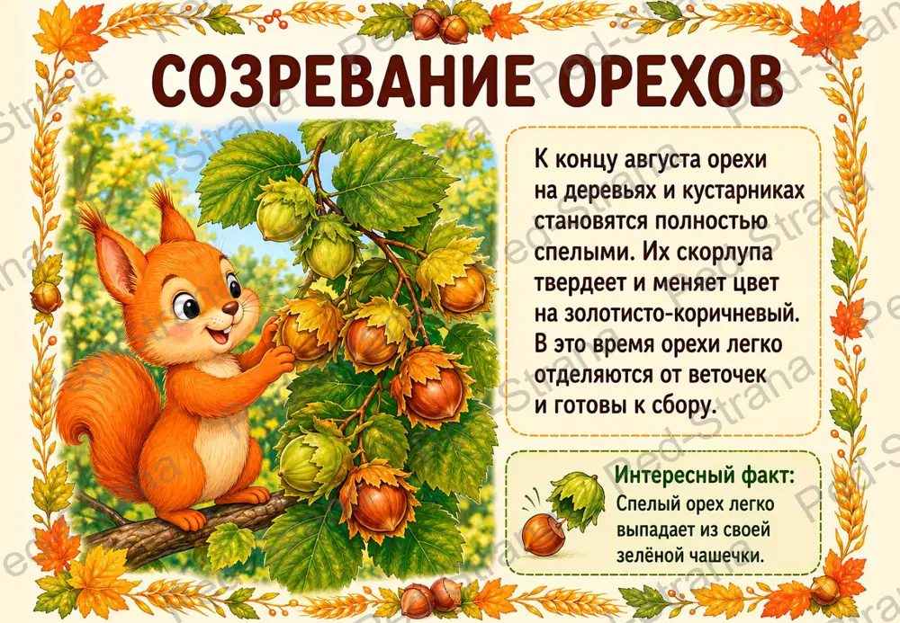 Презентация "Ореховый спас" — страница-пример 3