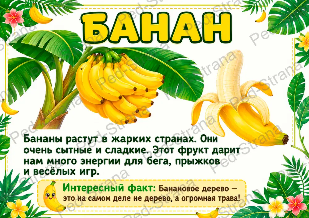 Тематические карточки "Удивительные фрукты" — страница-пример 4