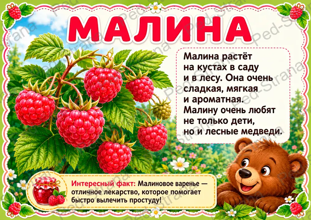Познавательные карточки для дошкольников "Ягоды" — страница-пример 4
